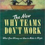 Why Teams Don’t Work