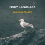 Body Language