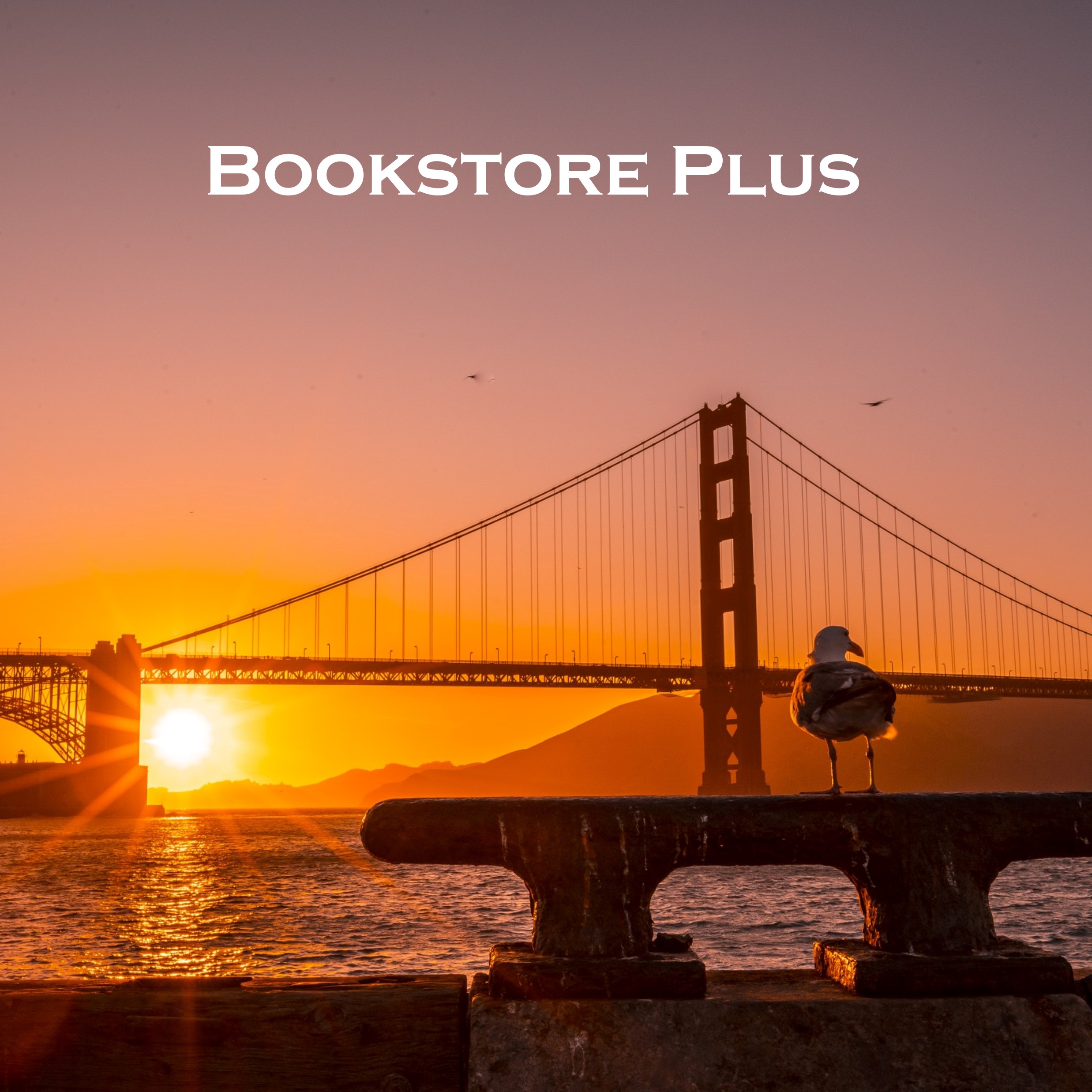 Bookstore Plus