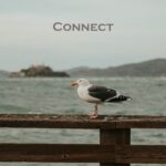 Connect