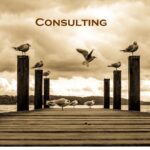 Consulting
