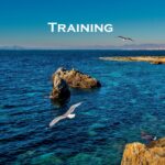 Training